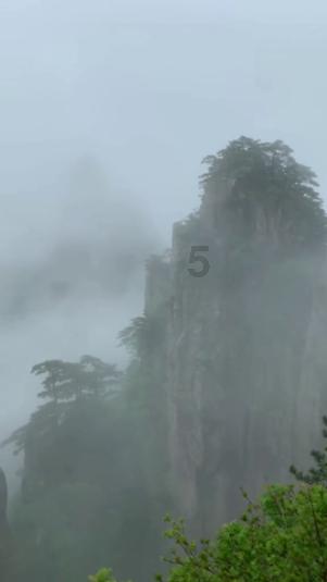 “三力”聚合服务 红利直达快享