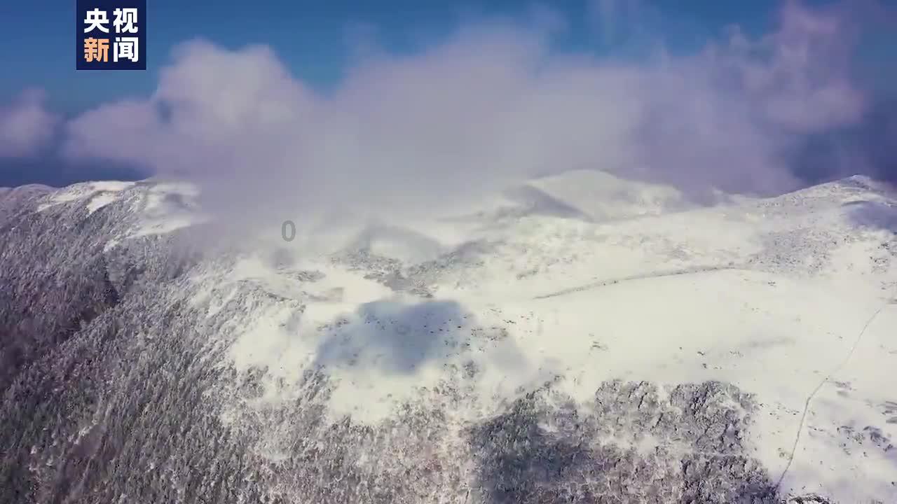 镇魔曲页游