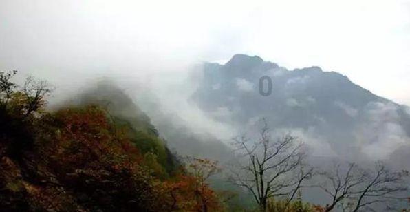 面包店甜品