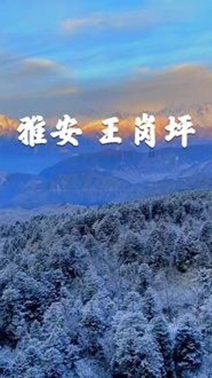 有一个很黏人的男/女朋友是一种怎么的体验？游戏画面