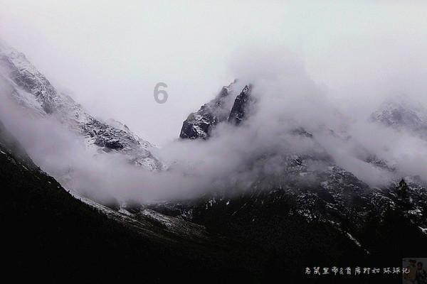 蓝色怪物救援