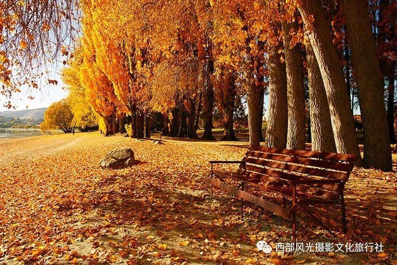 奔跑吧兄弟6