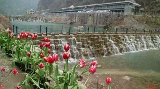 小猫钓鱼游戏龙王版有船