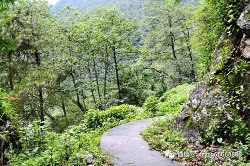 逃离空旷大街7