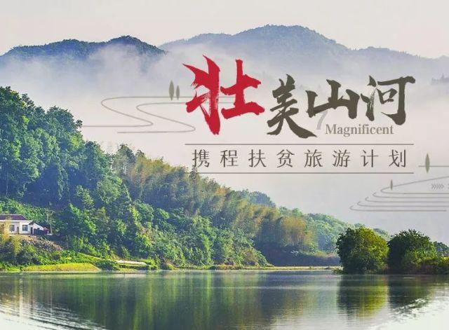 「茉莉奶白」龙年锦鲤,抽盲盒送金子!