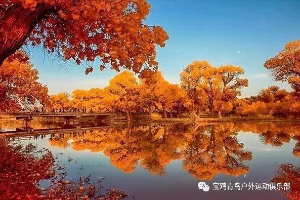 古堡逃生