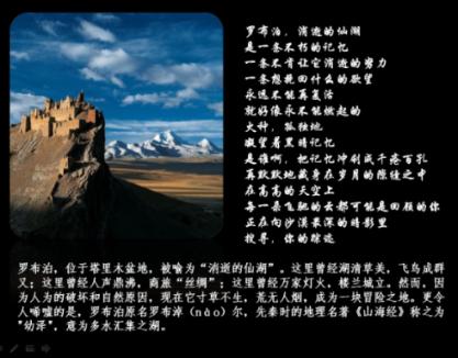 数字精益运营师证书考试指南:报考条件及用途解析