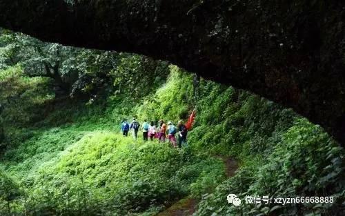 球球大作战下载最新版