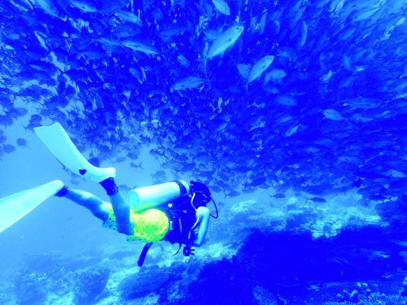 巴中巴州:水利项目加快建设 为区域经济发展提供强劲引擎