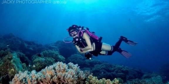 欧莱雅莫吉托精油好用吗?欧莱雅、拾觅、菲诗蔻真实使用对比