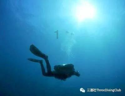 神奇!只需一种药,可把肺、肝、心、脾、肾一起都补了!