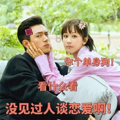 “太壕了”！鄂尔多斯这个村分红900万元！