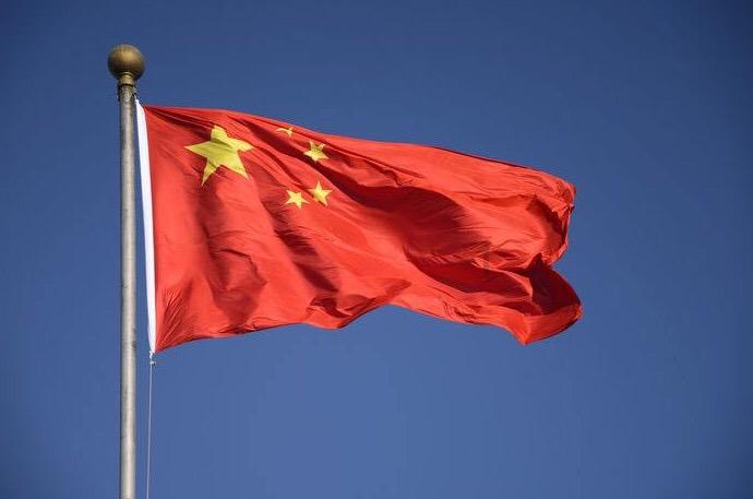 沙皮狗逃离