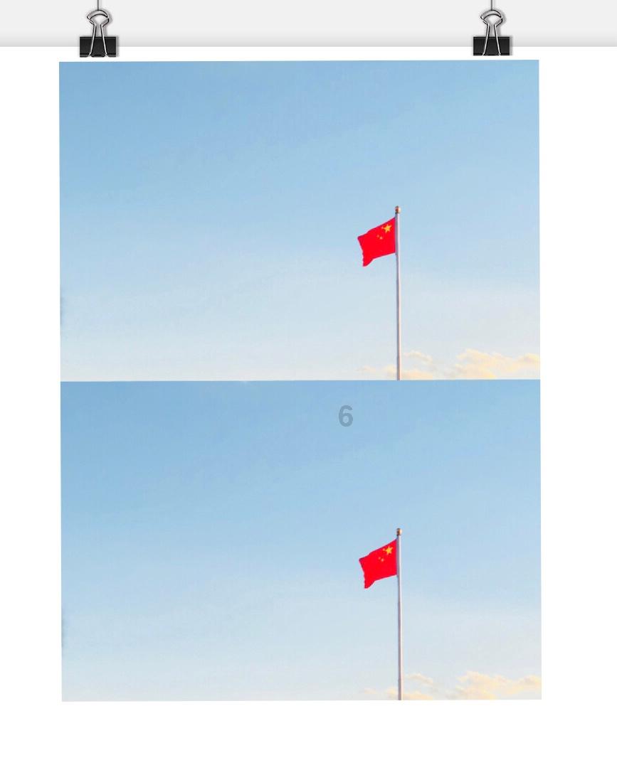 宠物世界聚会