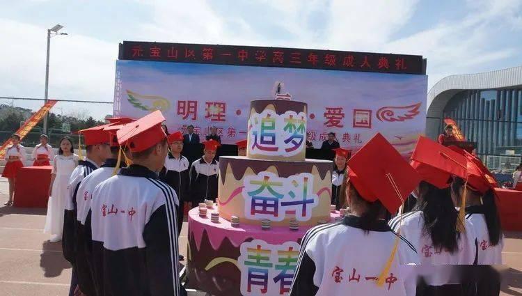 公主的阅读区