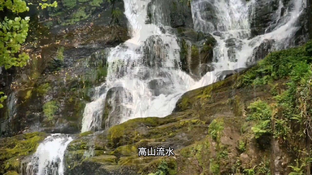 云南省民政工作会议部署今年重点工作 精准为民解困 高效为民服务