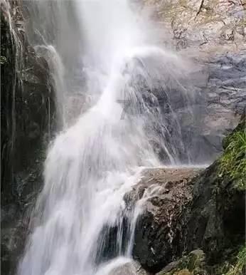 披萨找不同
