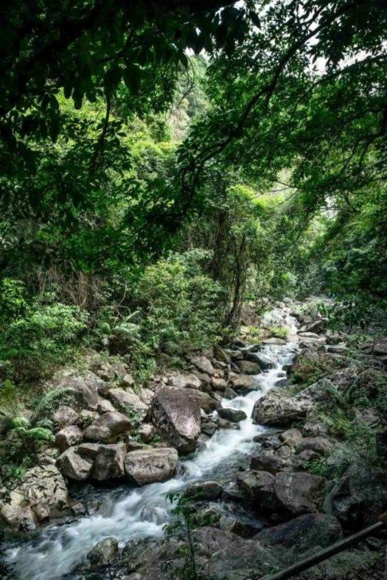 镇魔曲页游