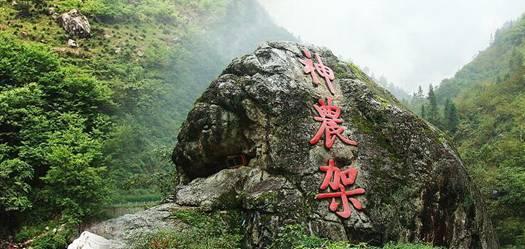 蓝色怪物救援