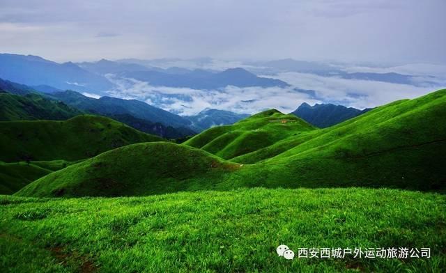 森系丛林