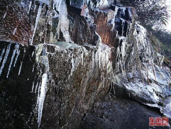 你能逃离此地吗