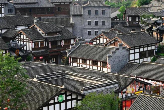 红树林逃生