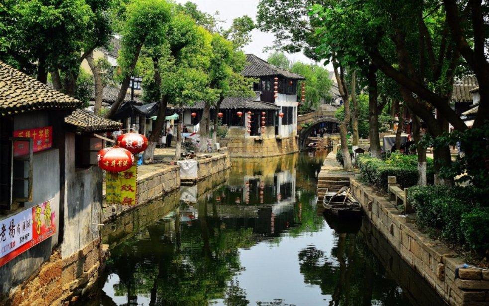 植物大战僵尸19