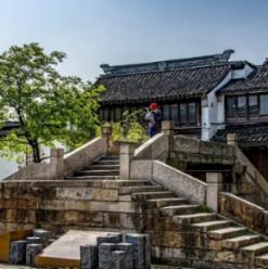 动物帮帮忙保卫家园