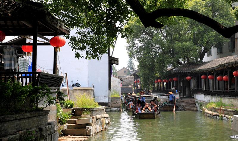 解救金刚鹦鹉