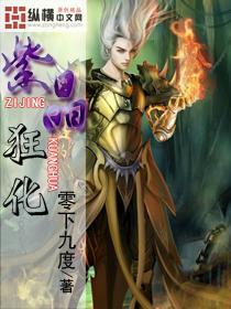 幻想纹章3.1